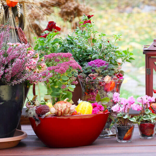 Arriva l’autunno! Come preparare il nostro giardino?